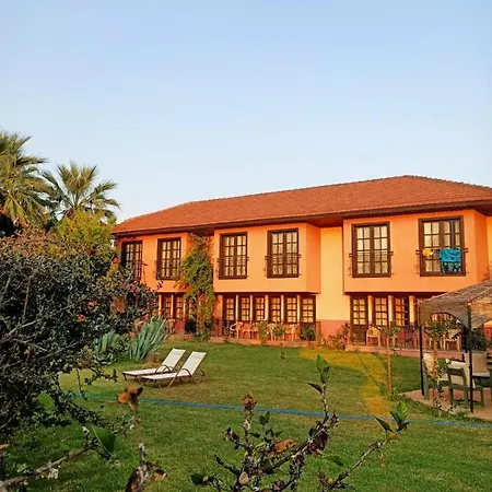 Palme Hotel 2*