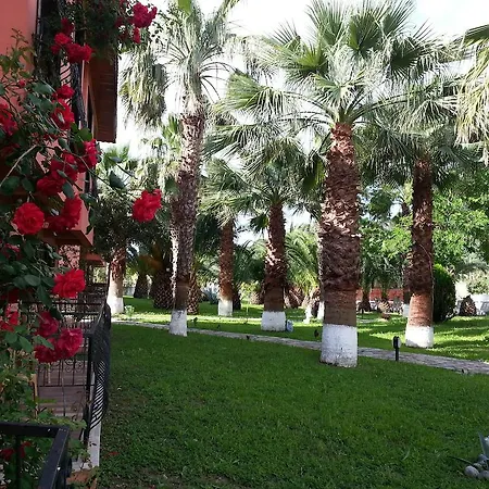 Отель Palme